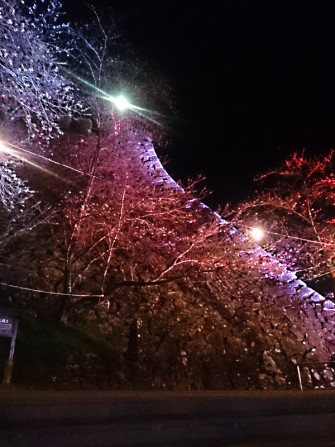 延岡城跡 城山 公園のライトアップと夜桜電飾について 延岡観光協会