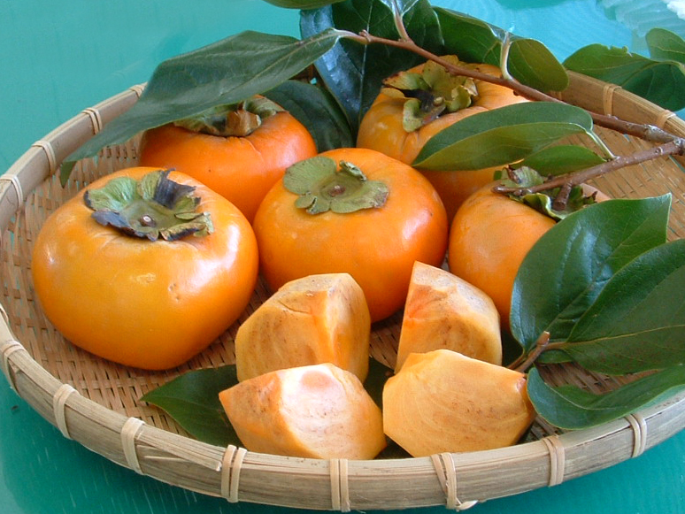 次郎柿 延岡観光協会