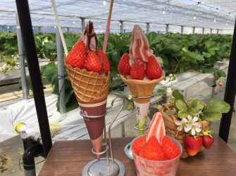 川原いちご農園